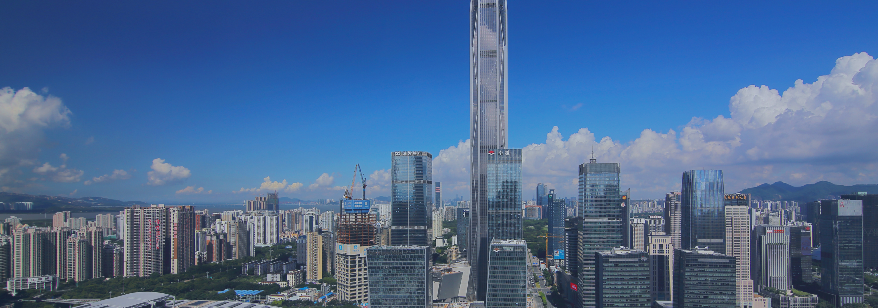 Real World Study Cover